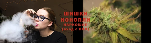 МДПВ Нея